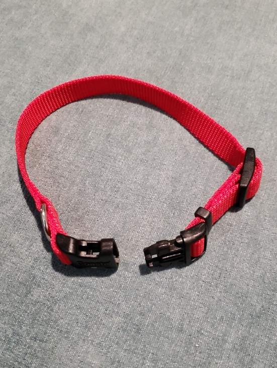 Coastal Other - NEW Red Adjustable Dog Collar with Quick-Release Buckle